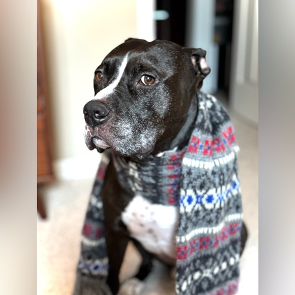 Meet your Posher, Erika - Picture 2 of 2